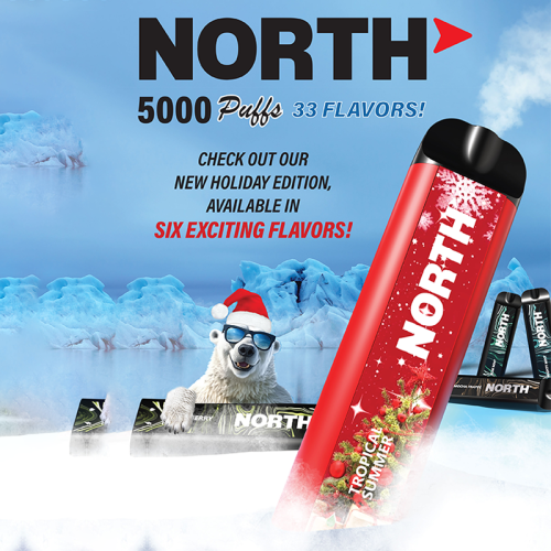 North 5000 Puffs Rechargeable Disposable Vape 10ct/Display